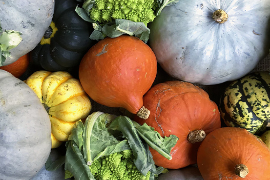 催事出店の流れ