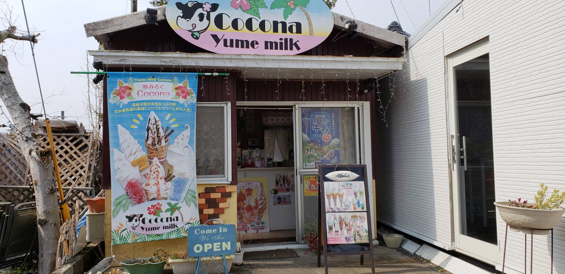 夢みるくCocona